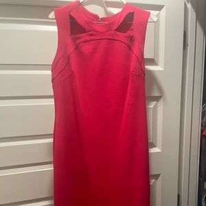 Calvin Klein Hot Pink Dress